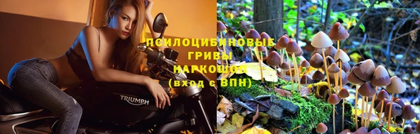 соль курить ск Верея