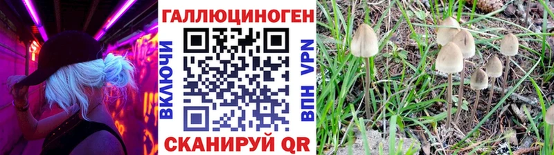 Псилоцибиновые грибы ЛСД  Владимир 